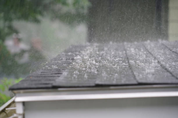 Best Emergency Roof Repair  in Richmond West, FL