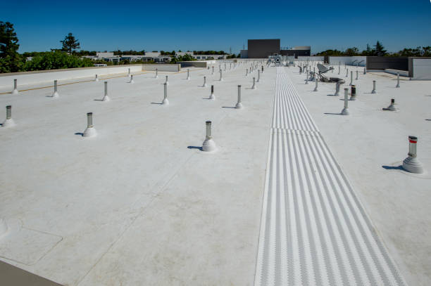 Best Storm Damage Roof Repair  in Richmond West, FL